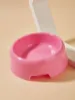 Picture of  1pc Random Color Pet Bowl 🍲