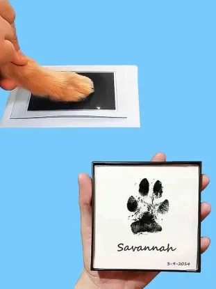 Picture of 1pc Pet Paw Print Ink Pad🐾