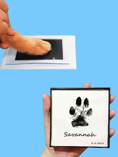 Picture of 1pc Pet Paw Print Ink Pad🐾