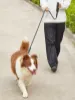 Picture of Pet Leash With Reflective & Comfortable Padded Handle🐾